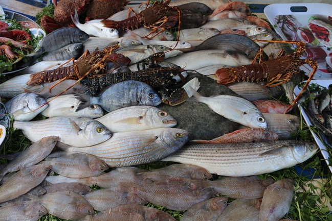 Étalage de poissons à Essaouira